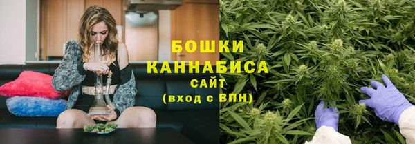 ГАЛЛЮЦИНОГЕННЫЕ ГРИБЫ Баксан